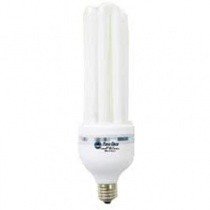 Bóng đèn rạng đông 18W